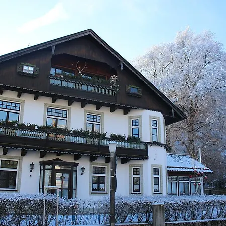 Fuchs Am Berg