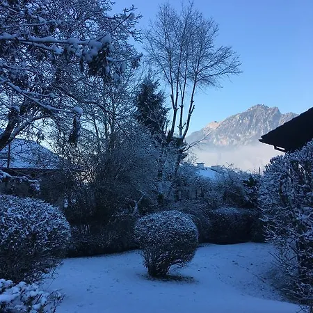 Fuchs Am Berg Bayerisch Gmain