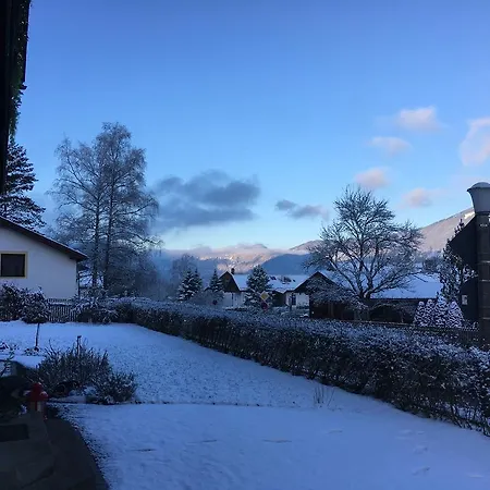 Fuchs Am Berg Bayerisch Gmain